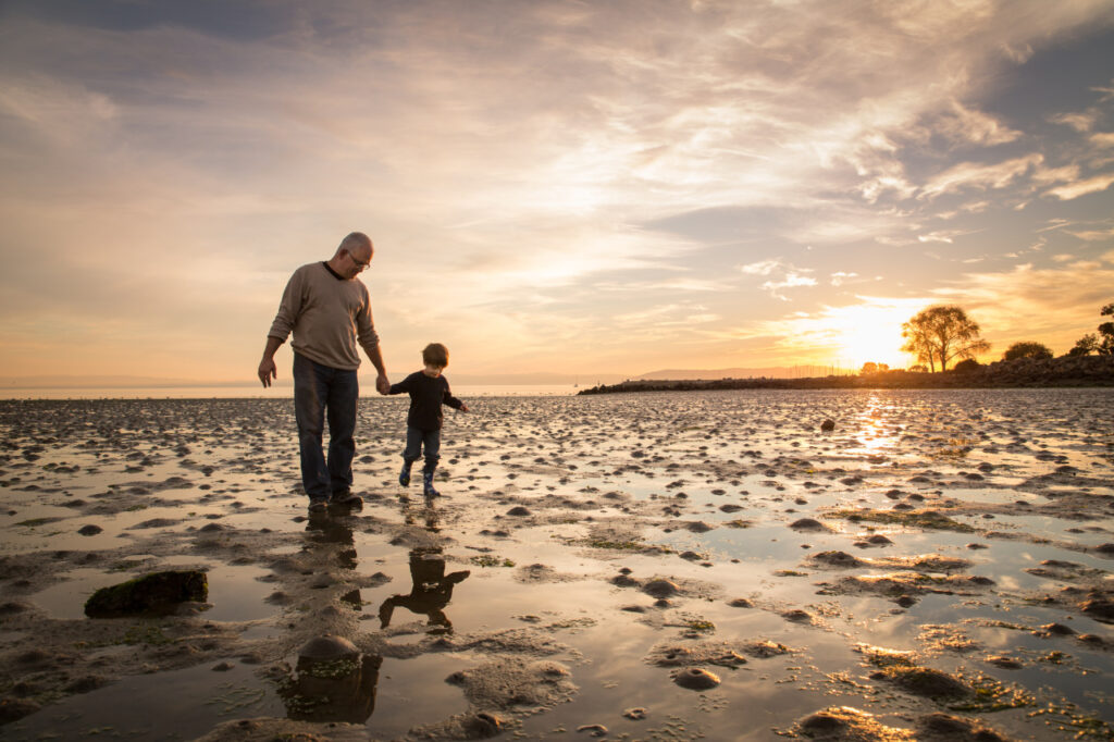 Father and son holding hands as they walk at low tide at Crab Cove in Alameda.