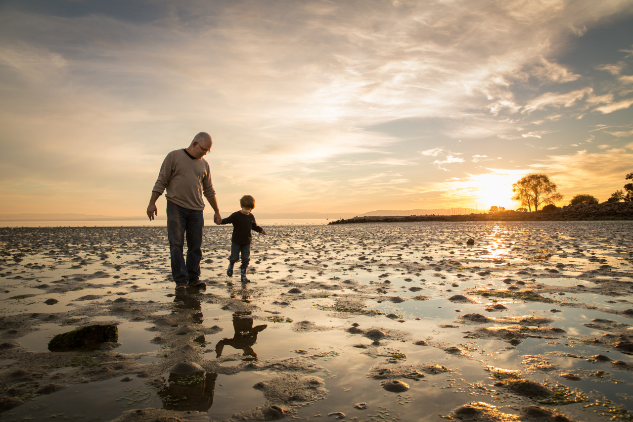 family session of dad and son walking on beach at low tide at sunset crab cove alameda