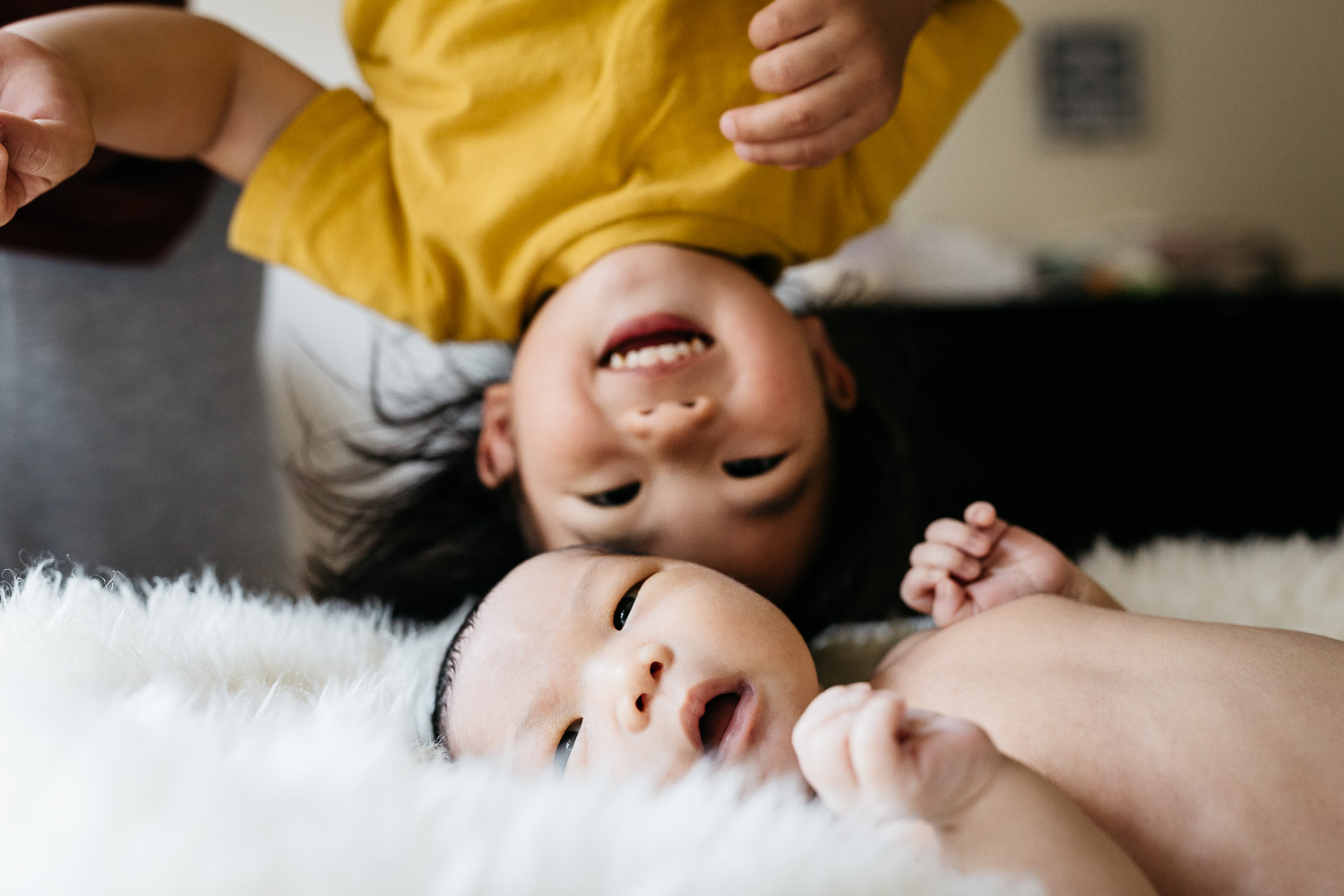 sibling brother being upside down with baby brother newborn home session sf bay area
