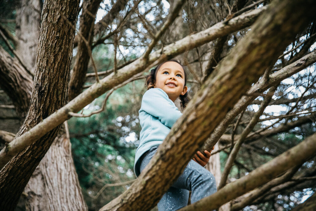 san-francisco-bay-area-family-photographer-carmen-dunham-photography-and-filmsIMG_7593 adorable girl climbing tree