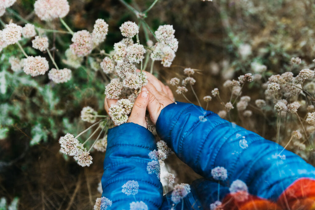 san-francisco-bay-area-family-photographer-videographer-carmen-dunham-photography-and-filmsIMG_4459-2