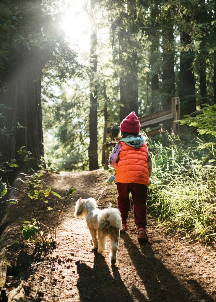 young girl walking her puppy dog among the redwoods in samuel p taylor park