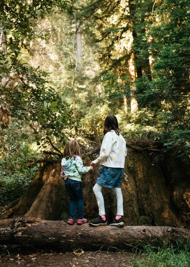 two girls holding hands looking at large tree trunk at samuel p taylor park