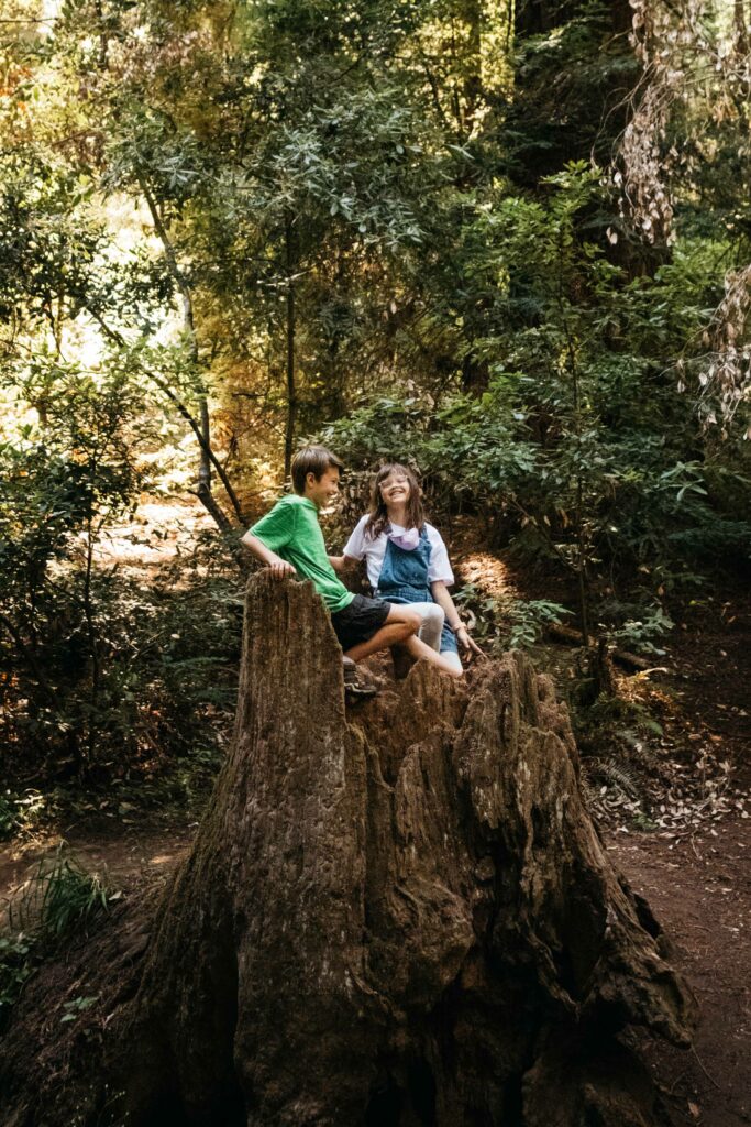 kids having fun in large tree trunk at samuel p taylor park