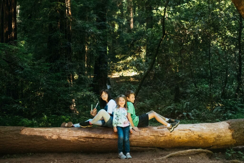 kids having fun together on large fallen tree branch at samuel p taylor park