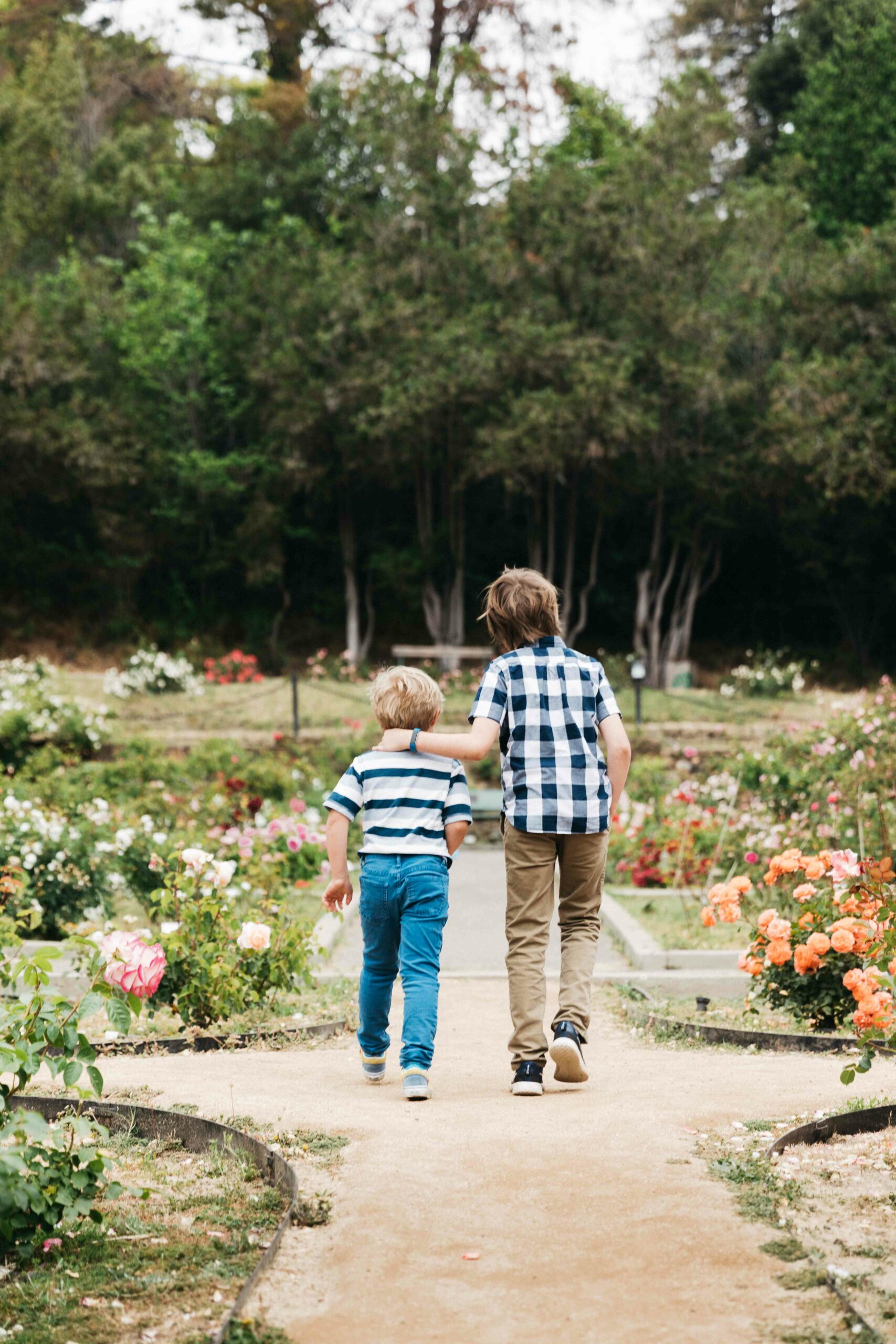 brothers walking lovingly in the Morcom Rose Garden