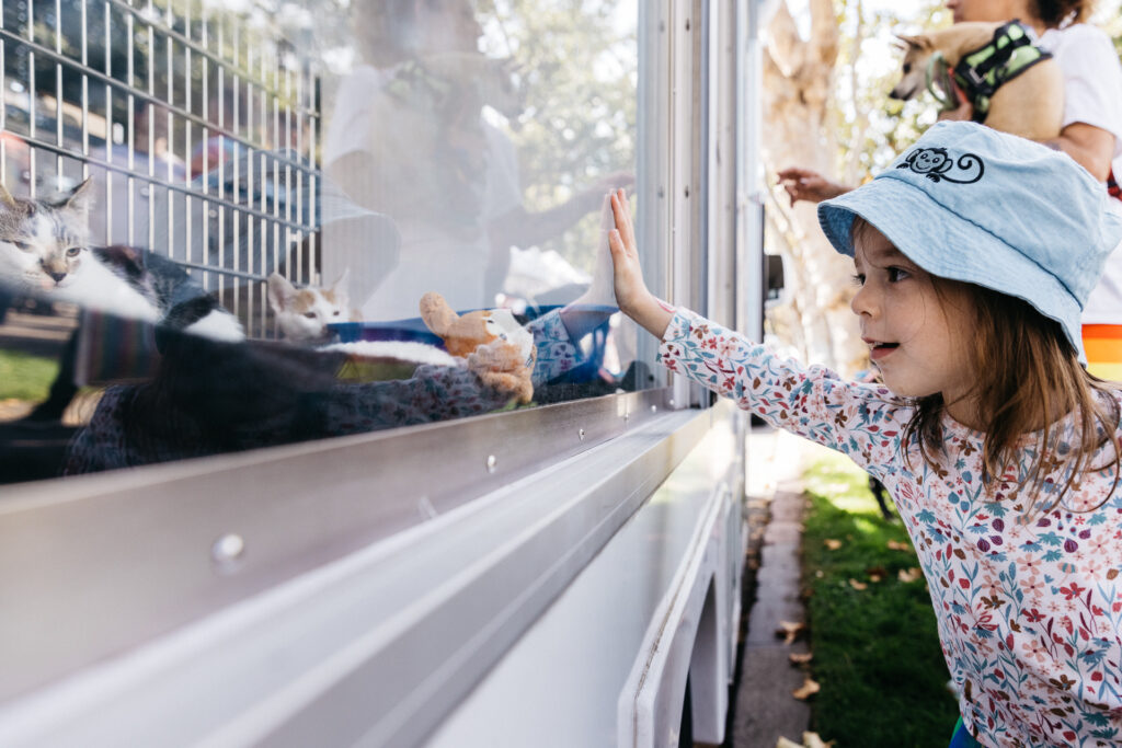Young girl playing with kittens at FAAS wagon at Pride