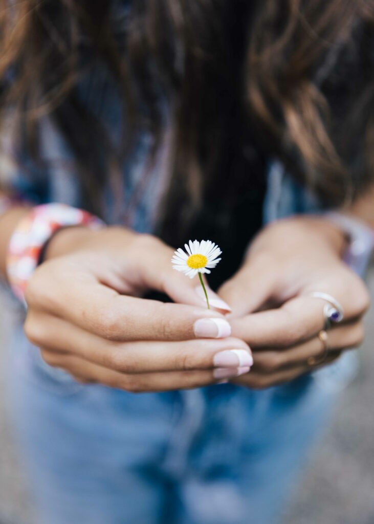 Girl holding miniature daisy in hands