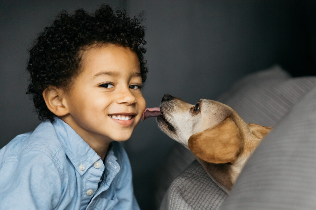 toddler boy is being licked on the cheek by his dog.