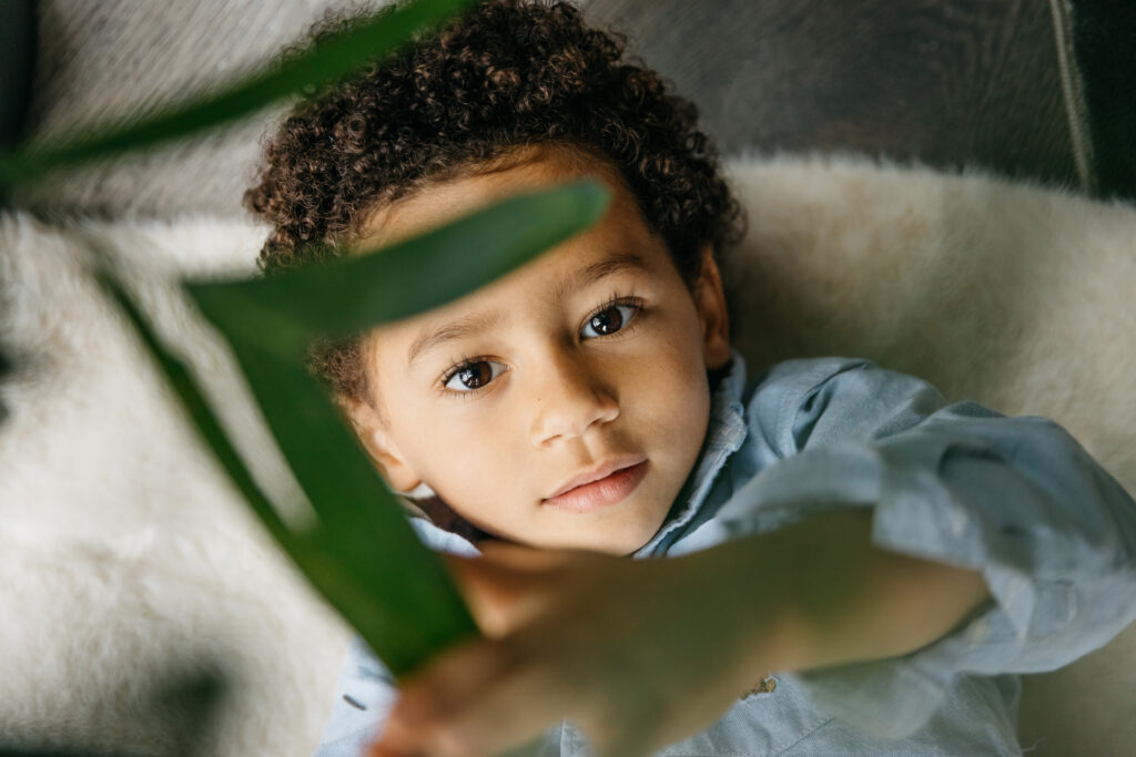 boy looking through a plant