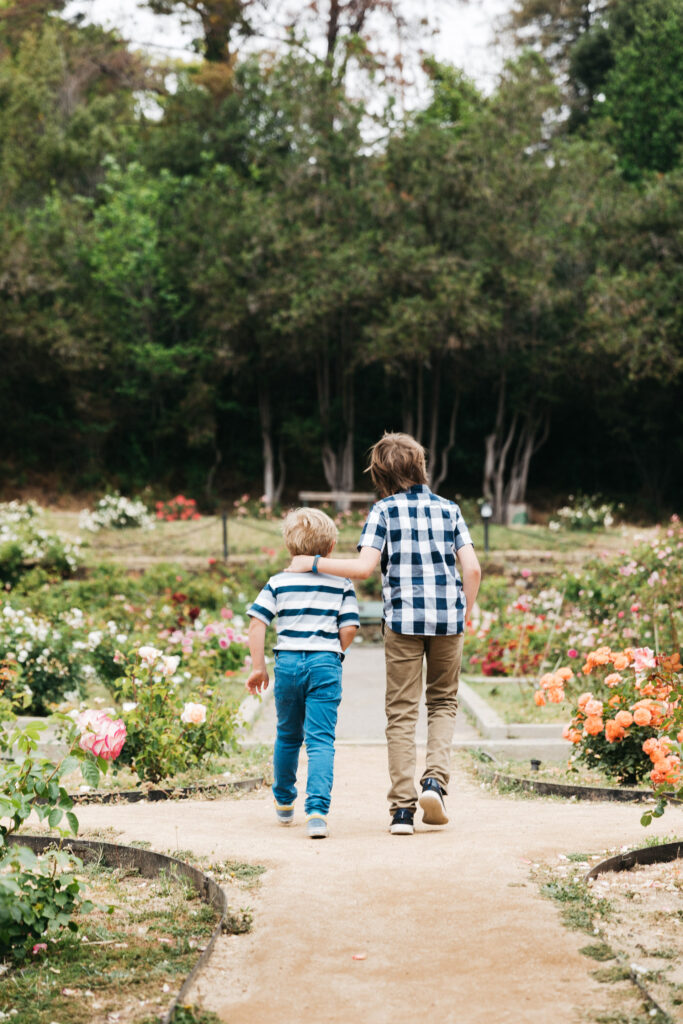 IMG_8469-Oakland-Family-Photographer-Carmen-Dunham-Photography Sibling brothers walking side by side in the Oakland Rose Garden.