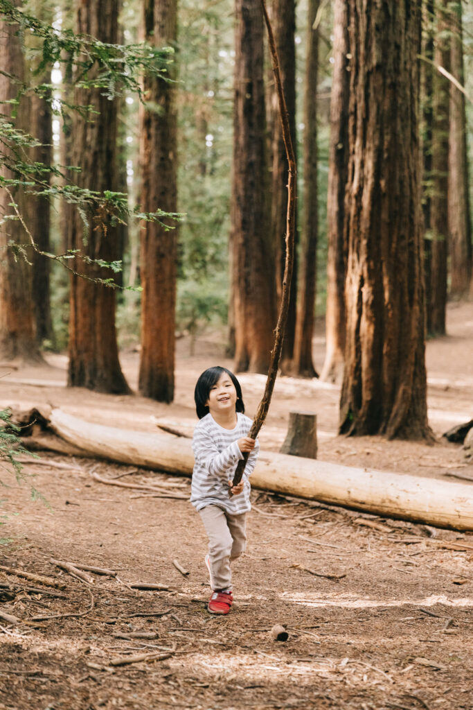 IMG_9147-Oakland-Joaquin-Miller-Family-Photography-Session-Carmen-Dunham-Photography Young boy carrying a tall redwood branch at Joaquin Miller Park.