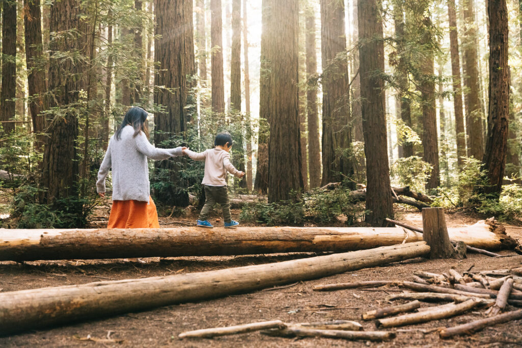 IMG_9247-Edit-Oakland-Joaquin-Miller-Family-Photography-Session-Carmen-Dunham-Photography Mom holding young son's hand while he balances on a redwood tree.