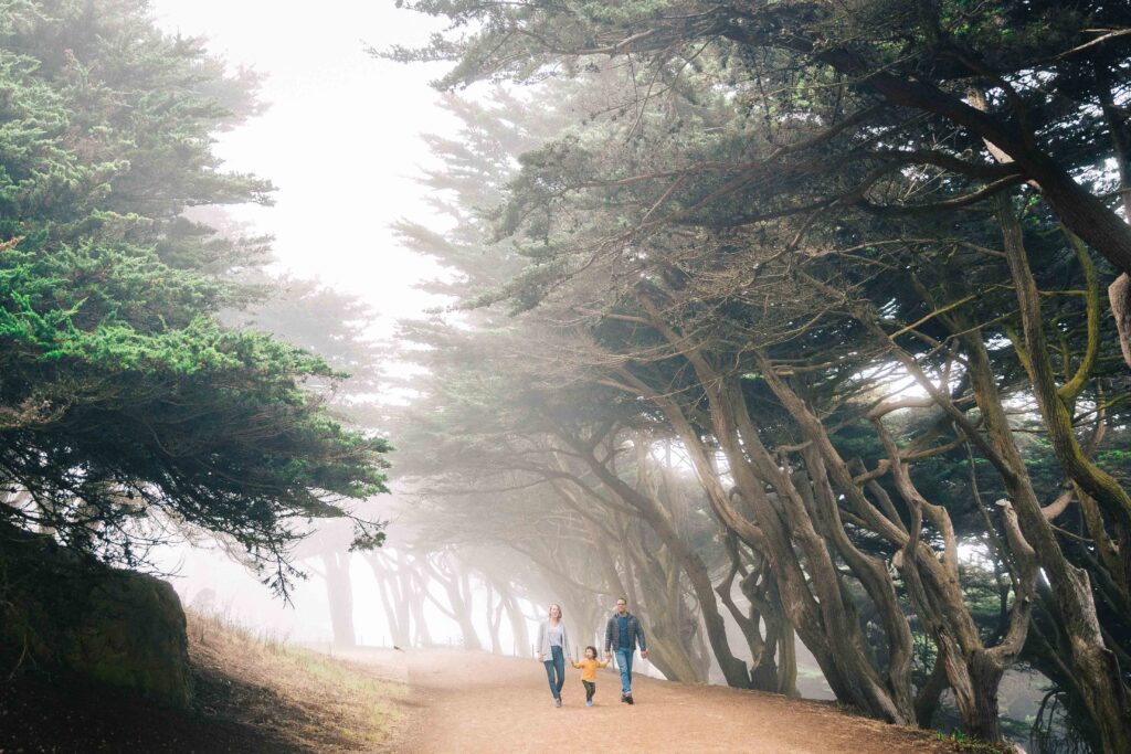 Family walking through the mist and fog at Lands End trail.