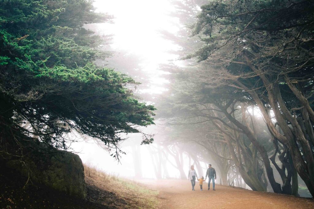 Family is walking hand in hand among the Cypress tress at Lands End on a foggy day.