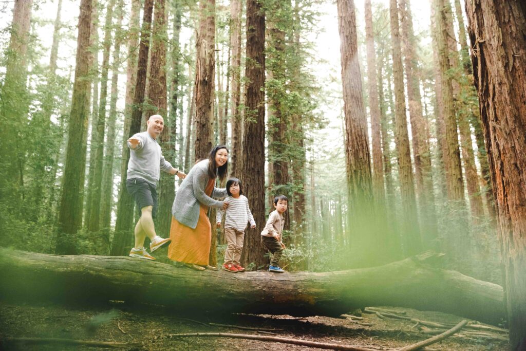 Family is walking atop a fallen redwood tree.