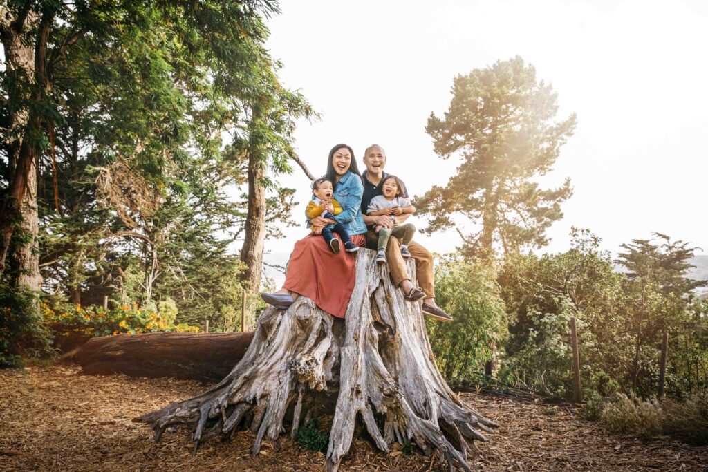 Mom and dad with young toddler boys are sitting on a large tree stump at the top of Strawberry Hill.